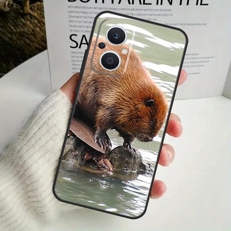 Чехол с животным бобром для OPPO Reno 12F 13F 14F 10 11 12 13 14 Pro 8T 7 8 Lite OPPO Find X6 X5 X8 X9 Pro