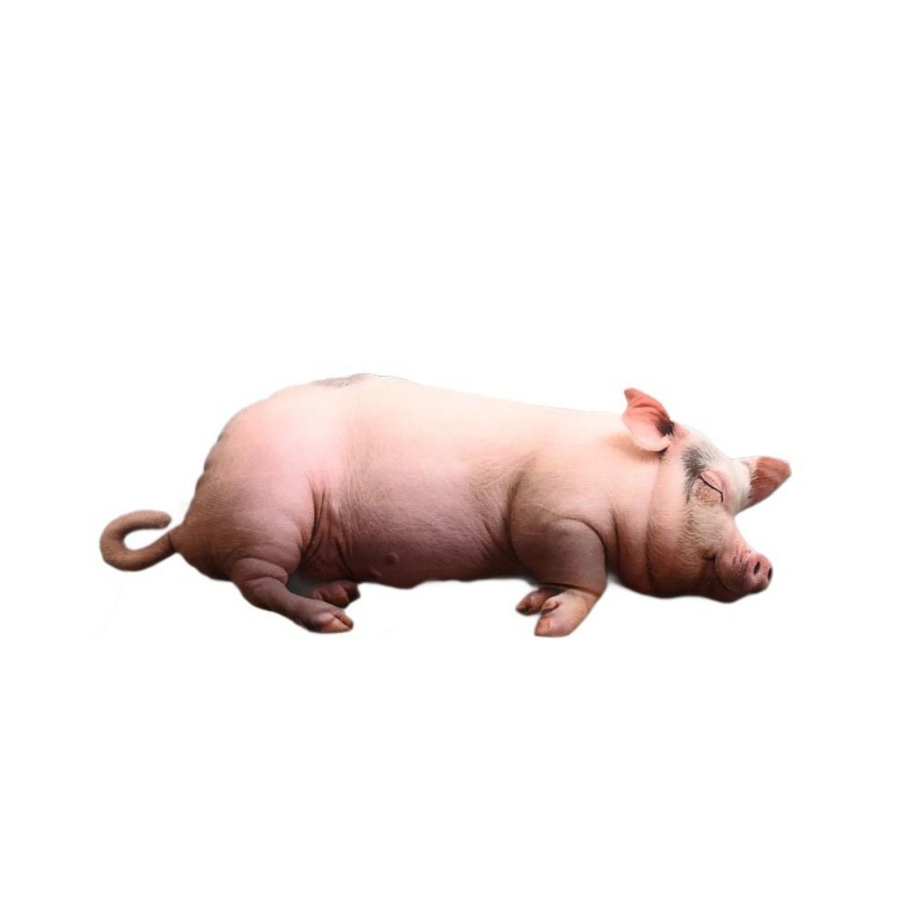 40cm Size Animal Body Pillow Plush Material Pig Keychain Portable Bag Decoration  Home Decor