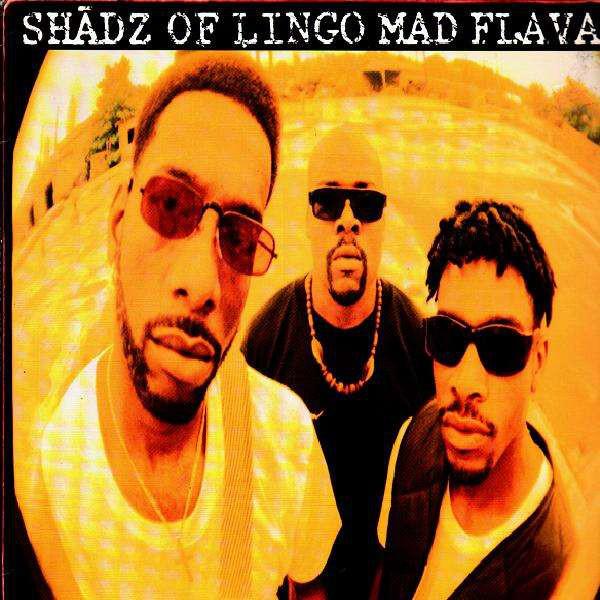 12-дюймовая пластинка SHADZ OF LINGO Mad Flavaz Y56283 EMI Records USA 1993 US Rap HipHopRB Б/у