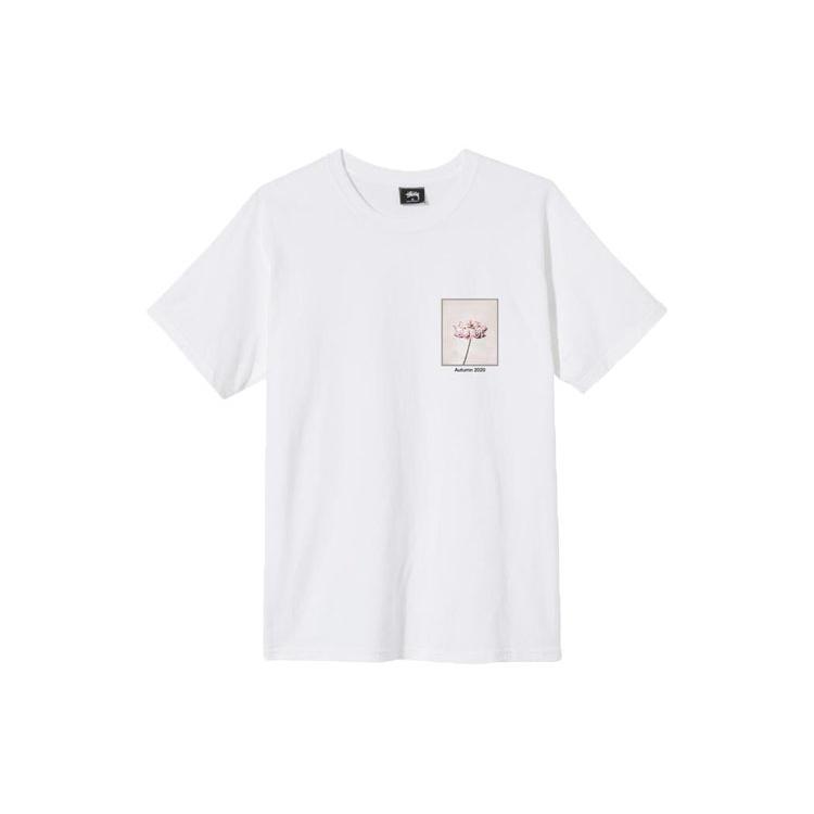 Stussy T-Shirts Unisex Crew Neck Moderate Straight Fit 1904701