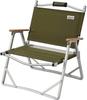 COLEMAN Compact Folding Chair Olive 2000033562