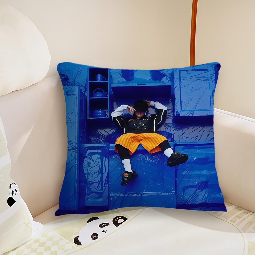 Singer HIT ME HARD AND SOFT cushion cover Plush Fabric Soft Double Sided Print Sofa Cushion Cover Throw Pillow Covers