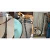 Funny Fake Iron Chain Dog Leash, Plastic, Imitates Chains, for Small Dogs, Cats, Puppies, Comes with Puppy Collar
