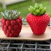 Self-Contained Realistic Fruit Flower Pot Plastic Flower Container Planter Holder  Placement Easy