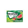 Dentyne Sugar Free Gum – Watermelon Squeeze 21.5g