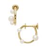 Gold Pearl Earrings 3024411301708999 [NOJESS] -