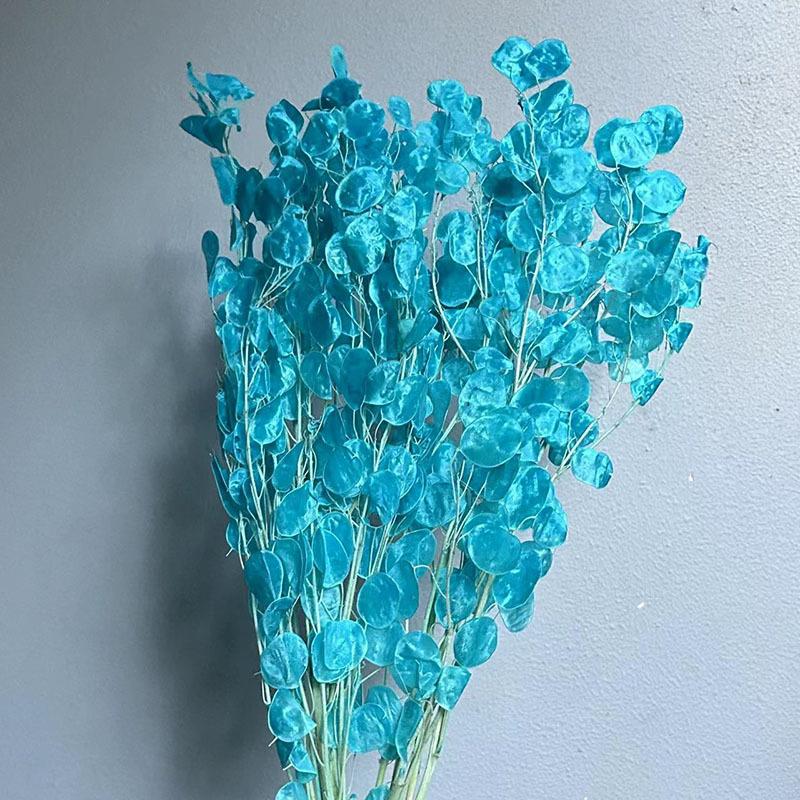 Сухоцвет серебряный веер, белый цветок, украшение для дома своими руками, букет, натуральный настоящий цветок, сухоцвет серебряный веер, бессмертный цветок