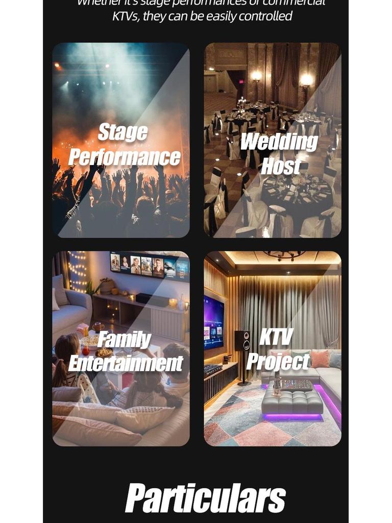 Rechargeable Dual Wireless Microphone Set for Stage, Home, KTV, Outdoor Events, and Conferences