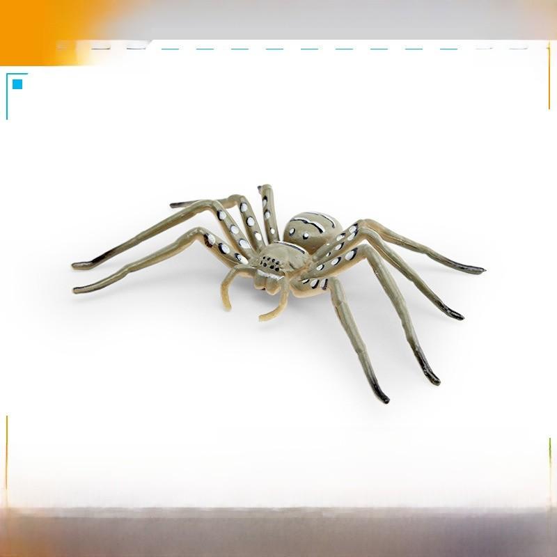 Модели животных Паук Скорпион Муравей Для Детей ПВХ Образовательный Декор Подарок Для Класса Или Дома