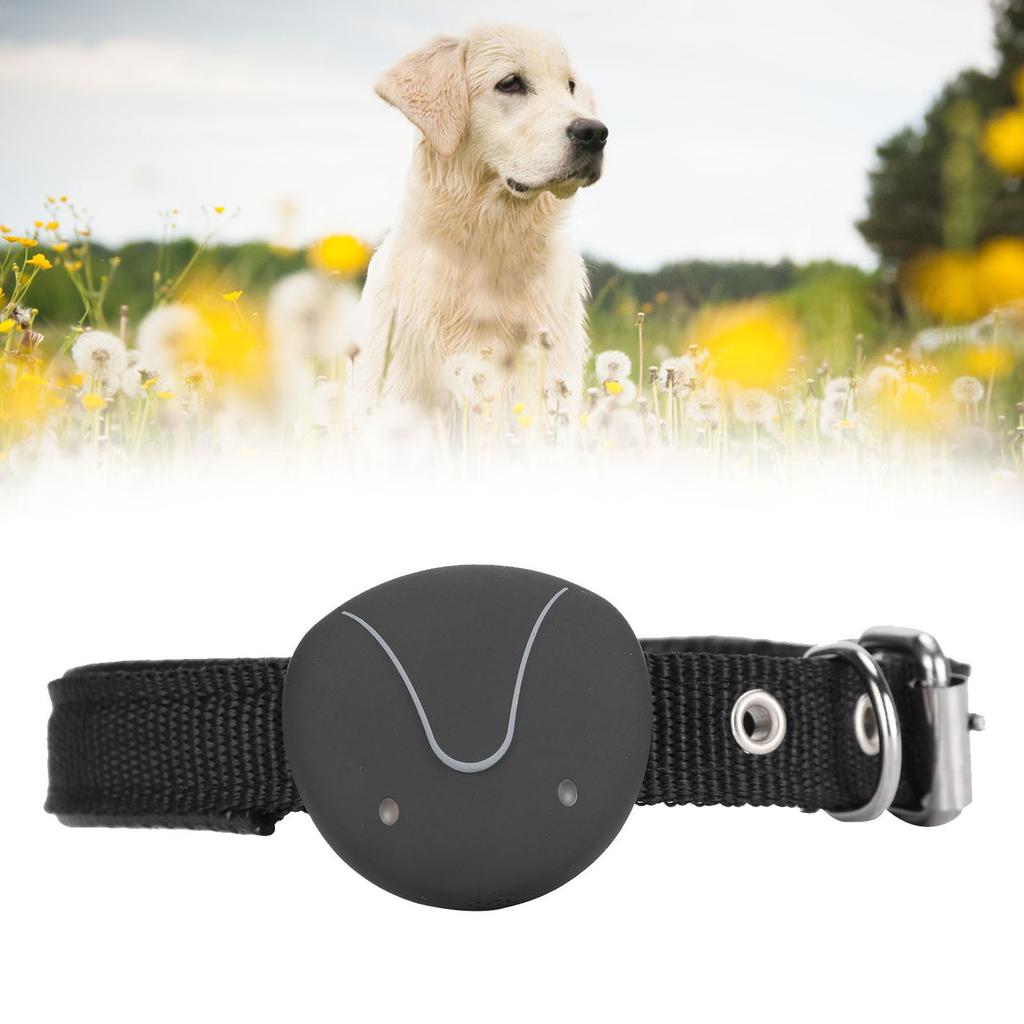 GPS-позиционирование ошейник для собак беспроводной забор регулируемый электрический ошейник слежения AntiLost(F9 )