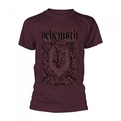 Футболка Behemoth унисекс для взрослых Furor Divinus