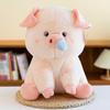 Snot Pig Plush Toy Children's Soothing Doll Scratching Machine Can Pull Snot Birthday Gift