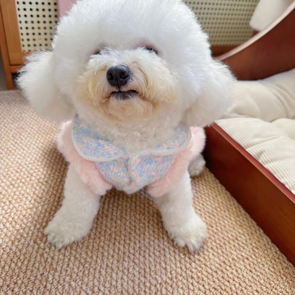 Dog Clothes Clothing Thick Cat Princess Dress Symphony Small Fragrance Traction Small Dog Teddy Pet