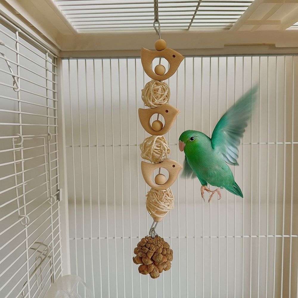 Hang Bird Swing Toy Wooden Bird Foraging Swing Funny Parrot Cage Toy  Entertainment