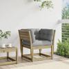 VidaXL Canapé de Jardin Accoudoir Coussins, Chaise de Terrasse avec Dossier, Fauteuil de Salon Patio Extérieur, Bois Massif 844698