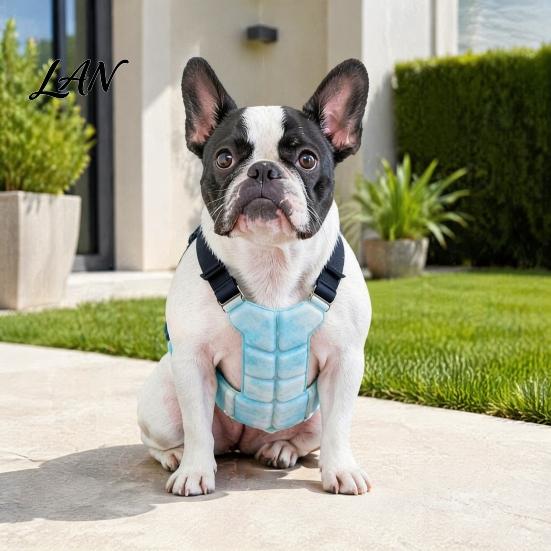 Comfortable Cooling Harness for Walking Dog Vest, Breathable Coat with Gel Ice Packs, Pet Heat Stress Relief Gear Summer Jacket Large Medium