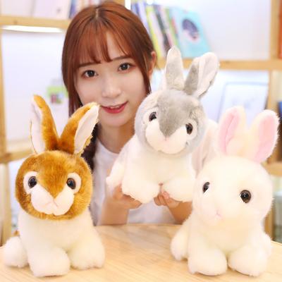 Детские игрушки Симпатичный кролик Мягкая игрушка с длинными стоячими ушами Белый кролик Кукла Кукла Кукла Кукла Девочка Подарок
