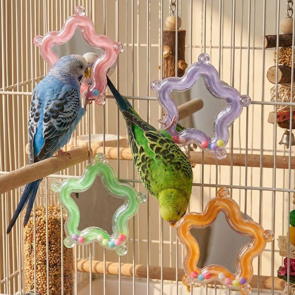 Colorful Beads Star Rotating Parrot Mirror Toy Mirror Parrot Interactive Toy Bird Supplies