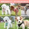 Breathable Dog Harness and Leash Set for Small Dogs and Easy To Put On and Take No Slipping Includes Reflective Material and Velcro Suitable for Small