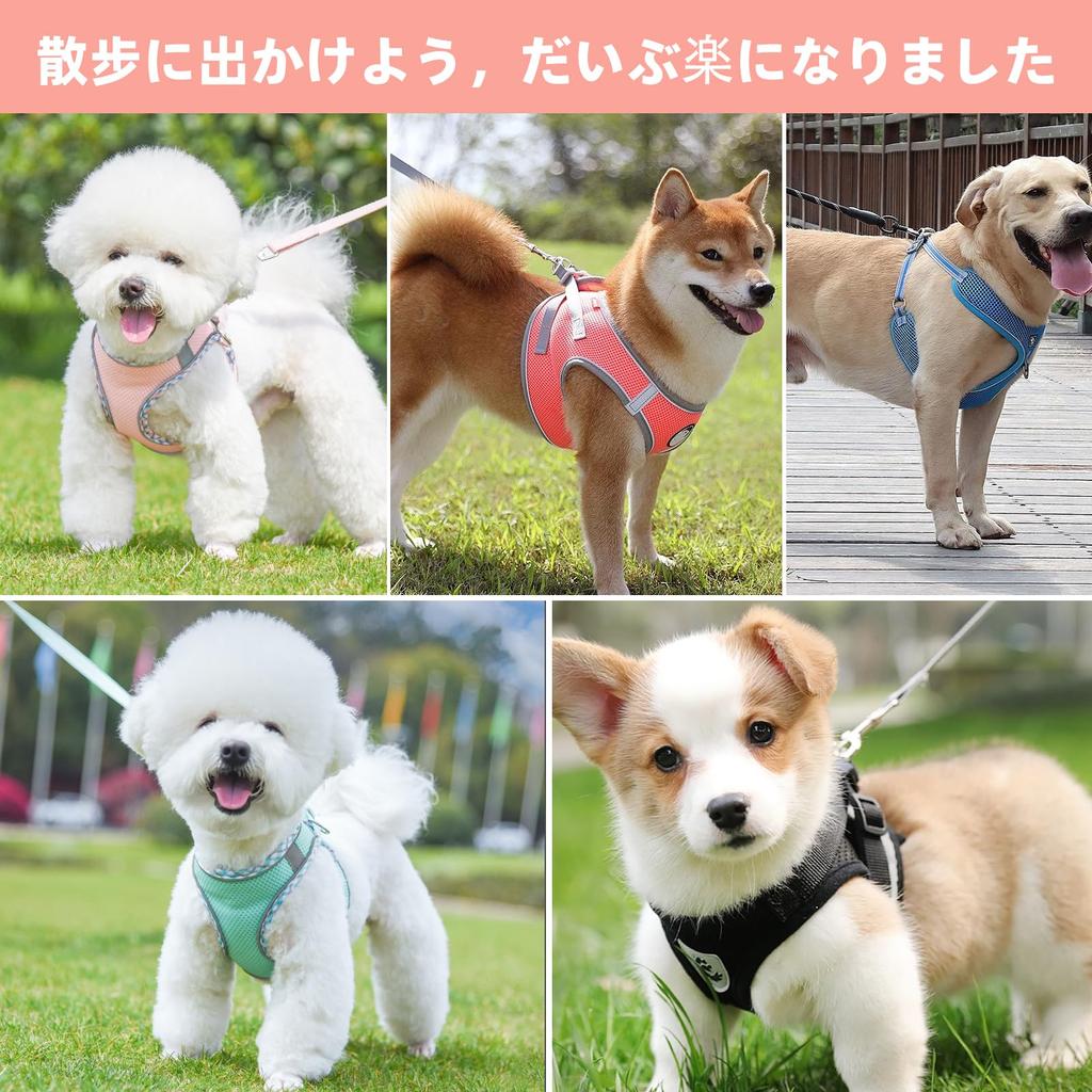 Breathable Dog Harness and Leash Set for Small Dogs and Easy To Put On and Take No Slipping Includes Reflective Material and Velcro Suitable for Small