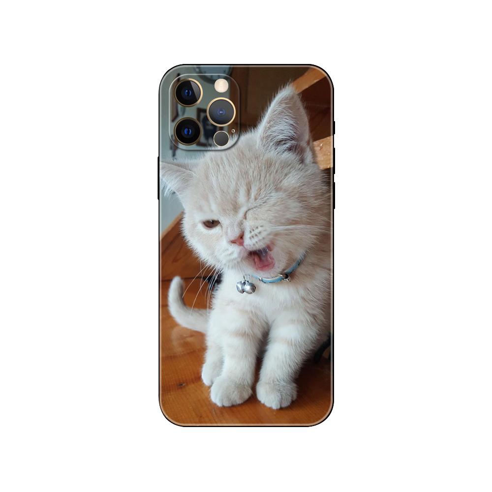 Крутой чехол для телефона с очками Cat для iPhone 5 5S 2020se 6 6s 7 8 plus x 10 XR XS 11 12 13 mini pro MAX, черная задняя крышка из ТПУ