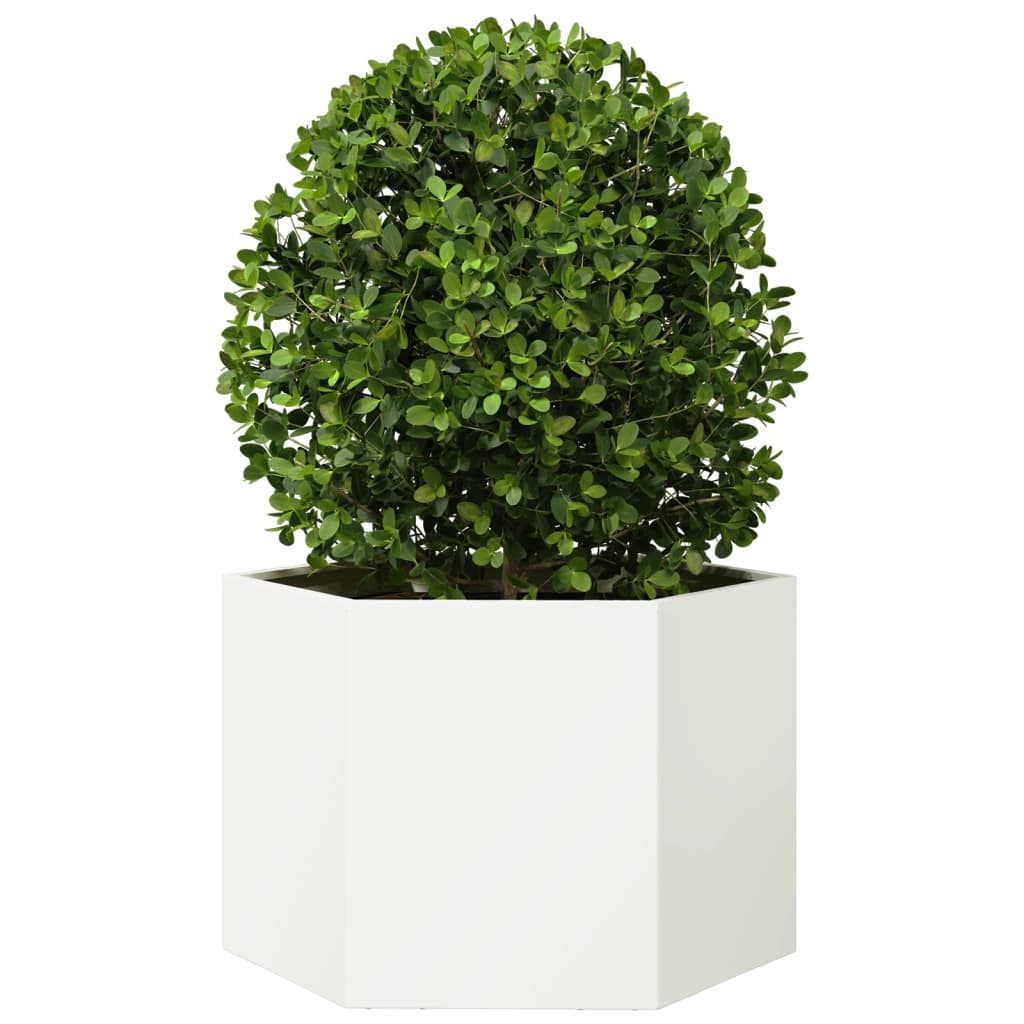 White Hexagonal Planter