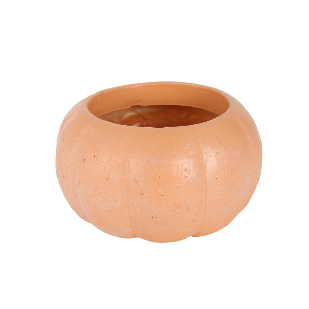 Cushaw Halloween Decorations Scene Arrangement Flower Pots Garden Decoration