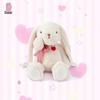Love Heart Rabbit Plush Doll - Cute Soothing Sleep Toy & Birthday Gift