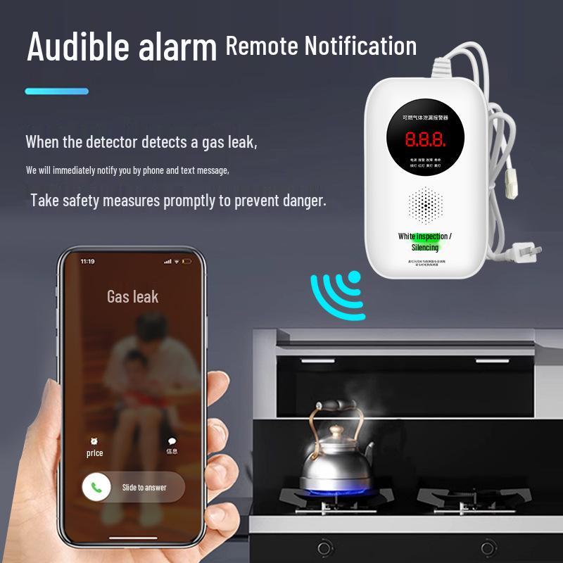 Lingfang JT-G303-4G Home Gas Leak Detector for Natural, LPG & Coal Gas