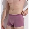 Summer Sexy Underwear Modal Elastic Men's Boxer Briefs Solid Color Underwear Silk Mid-Rise Boxer Swimming Boxer Briefs