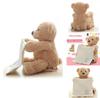 Funny Peek A Boo Teddy Bear Plush Blanket For Kids Perfect For Giggles And Playtime
