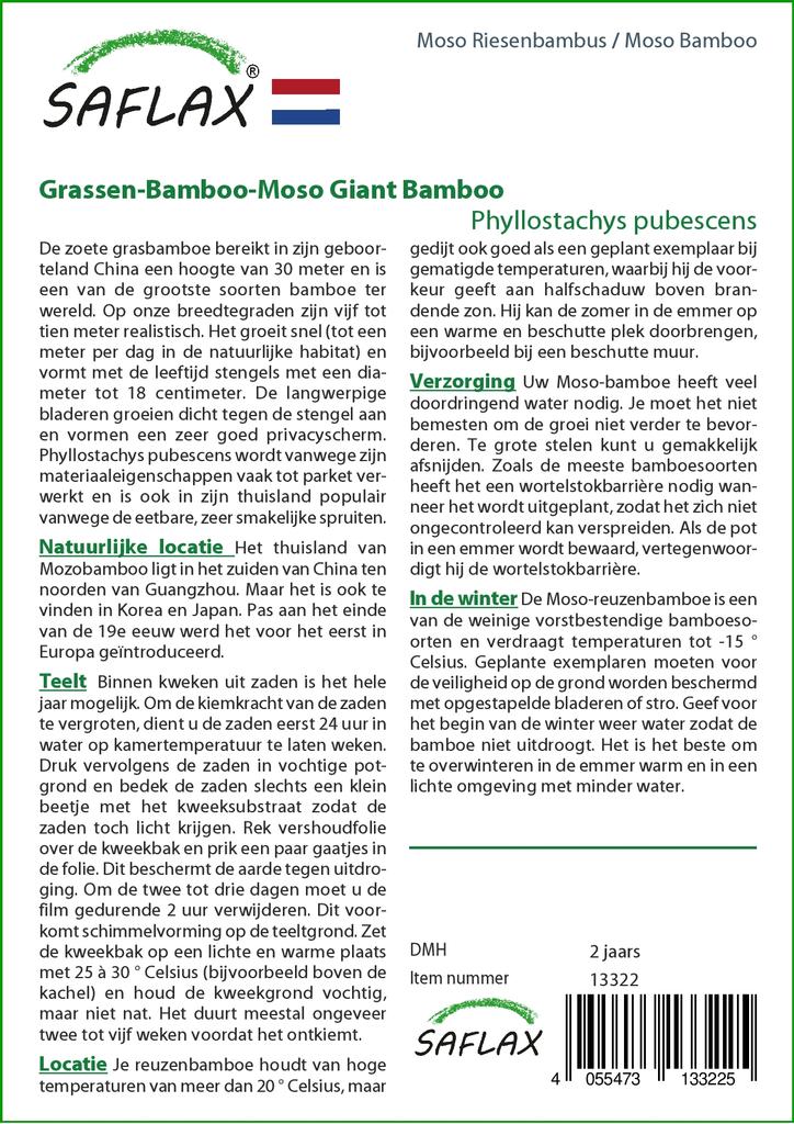 SAFLAX Мосо Бамбук - 20 семян - Phyllostachys pubescens