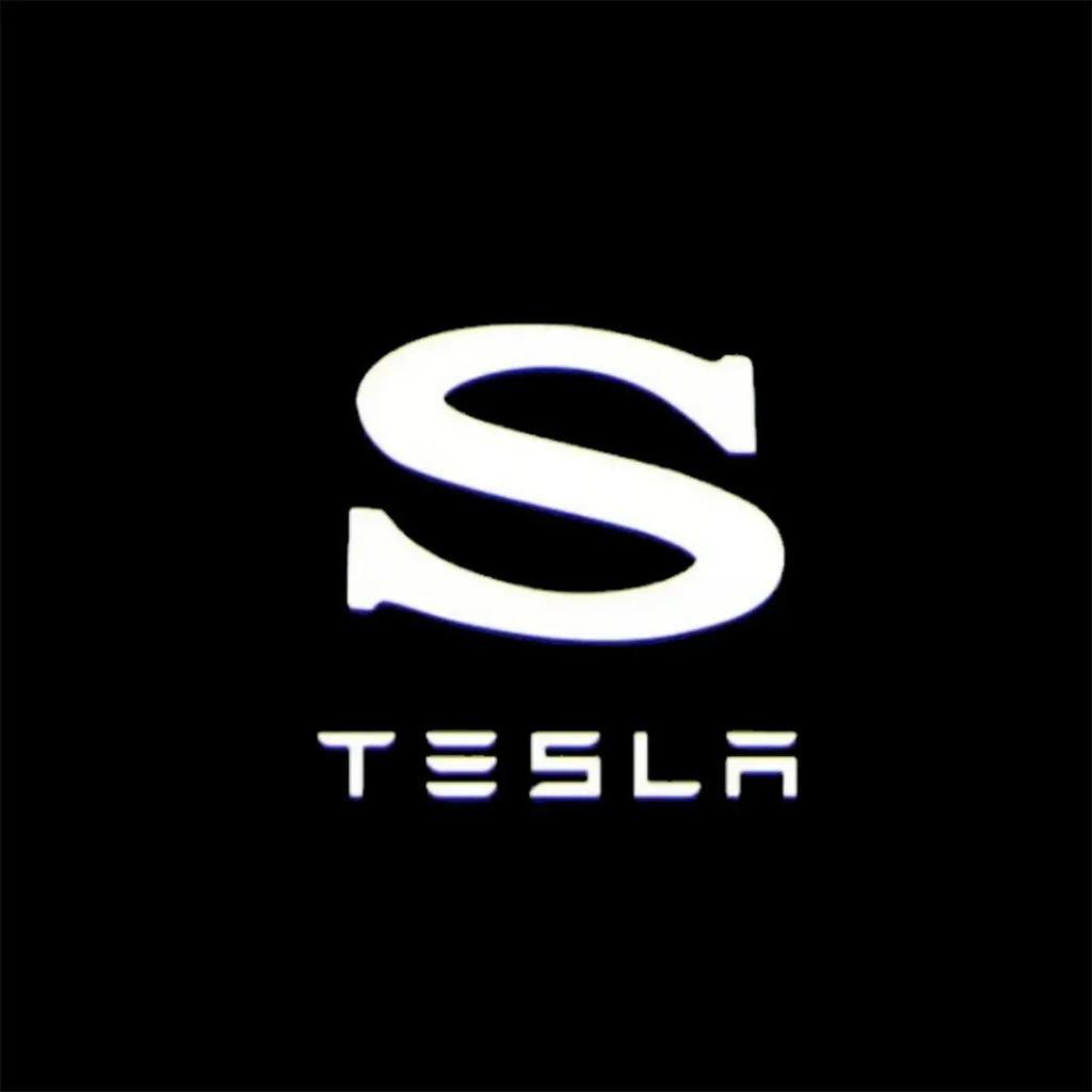 2/4pcs Car Door LED Logo Projector lights HD Welcome Light 3D Laser Ghost Shadow Light for Tesla Model Y 3 S X car Accessory