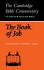 Книга The Book of Job