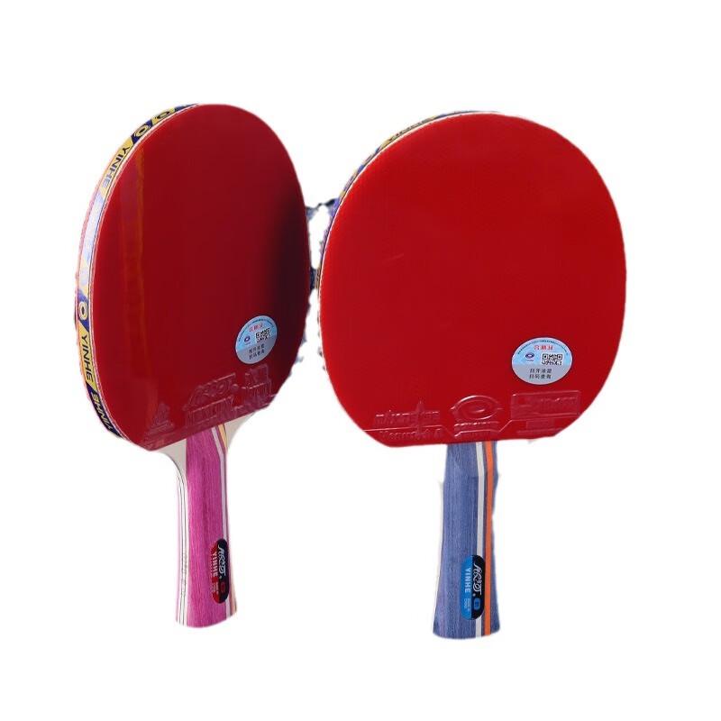 WEZHO 4-Star Training Table Tennis Racket