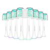 LINILEEA Compatible Replacement Brush Heads for Philips Sonicare Electric Pack of 8 Toothbrushes, Regular,