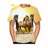Новая Мода Лошадь 3D Принтованные Мужские и Женские Футболки Животное Лошадь Принтованные Повседневные Свободные с Коротким Рукавом Размер XS-5XL