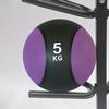 Iron Fox 10-Ball Medicine Ball Storage Rack
