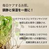 Mixsoon Недельная соевая маска-патч 7 штук Маска для лица Маска-патч Маска для лица Корейская косметика