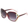 Women Shades Oversized Eyewear Classic Designer Sunglasses LXY