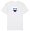 Slovenia Flag Badge T-Shirt 2024, Adults Kids Baby, Football Euro Shipping Gift