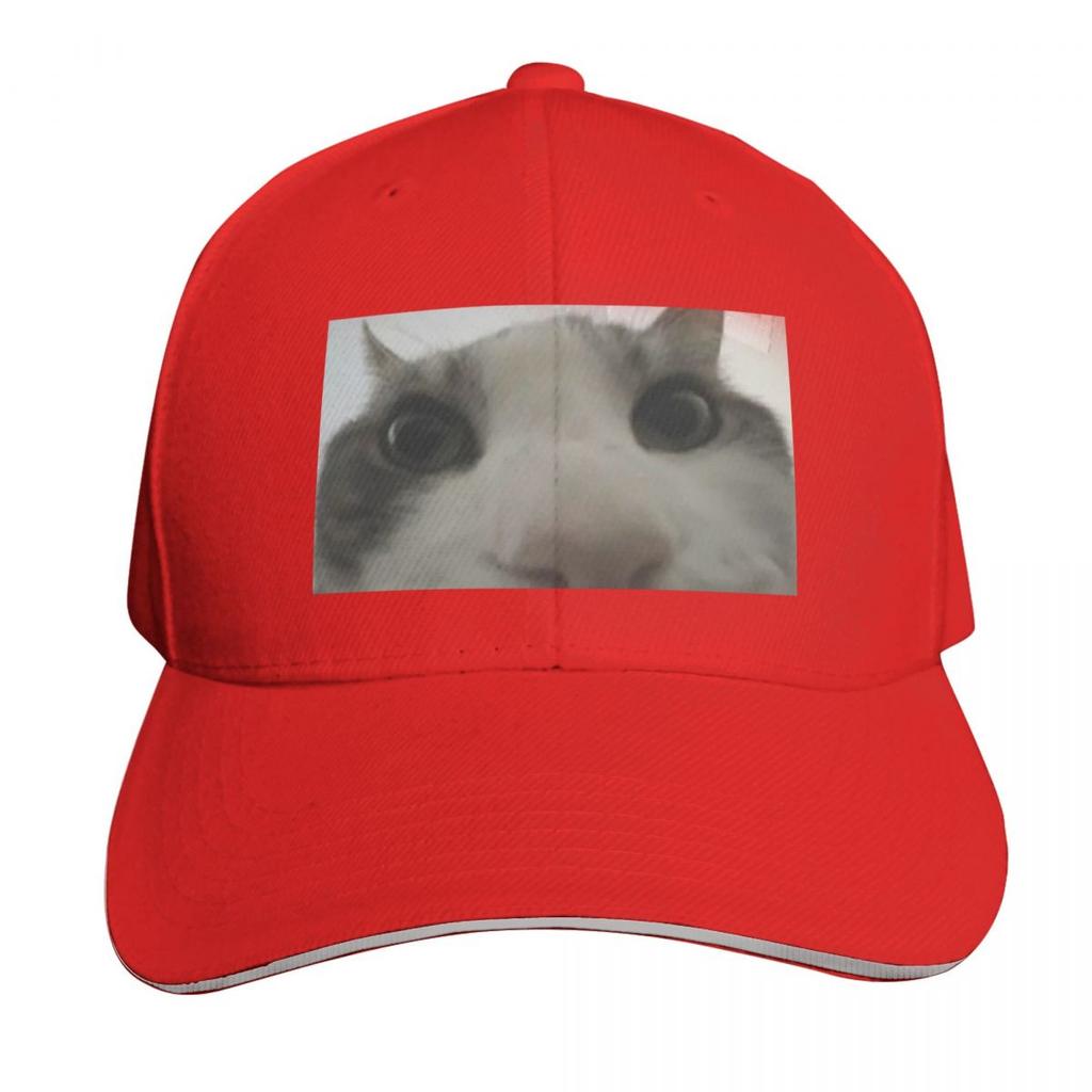 Cat looking inside box meme Baseball Cap party Hat Unique hats Sports Cap fun hats Hats Women Unisexs