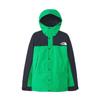 Mountain Light Optic L Jacket, Men's, Gore-Tex, Waterproof, Breathable, Emerald/Black,