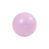 FIT Bun Yoga Gym Ball 30cm (Purple/Light Pink)
