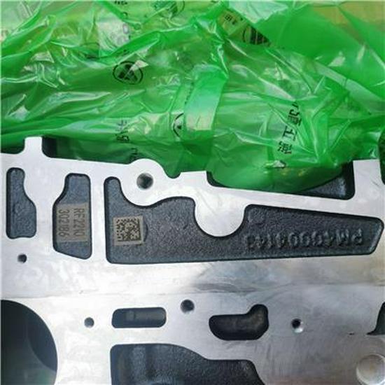 Foton SPV10005751E3544 Cylinder Block Assembly