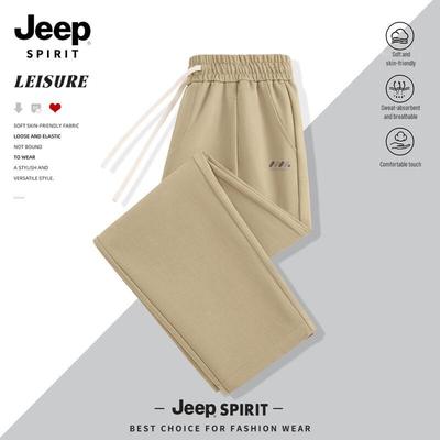 Мужские повседневные брюки JEEP SPIRIT 2025 Прямые Свободные