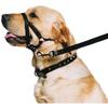 Collier De Dressage - Ancol - Halter Tête - Noir - Taille M - Pour Chien