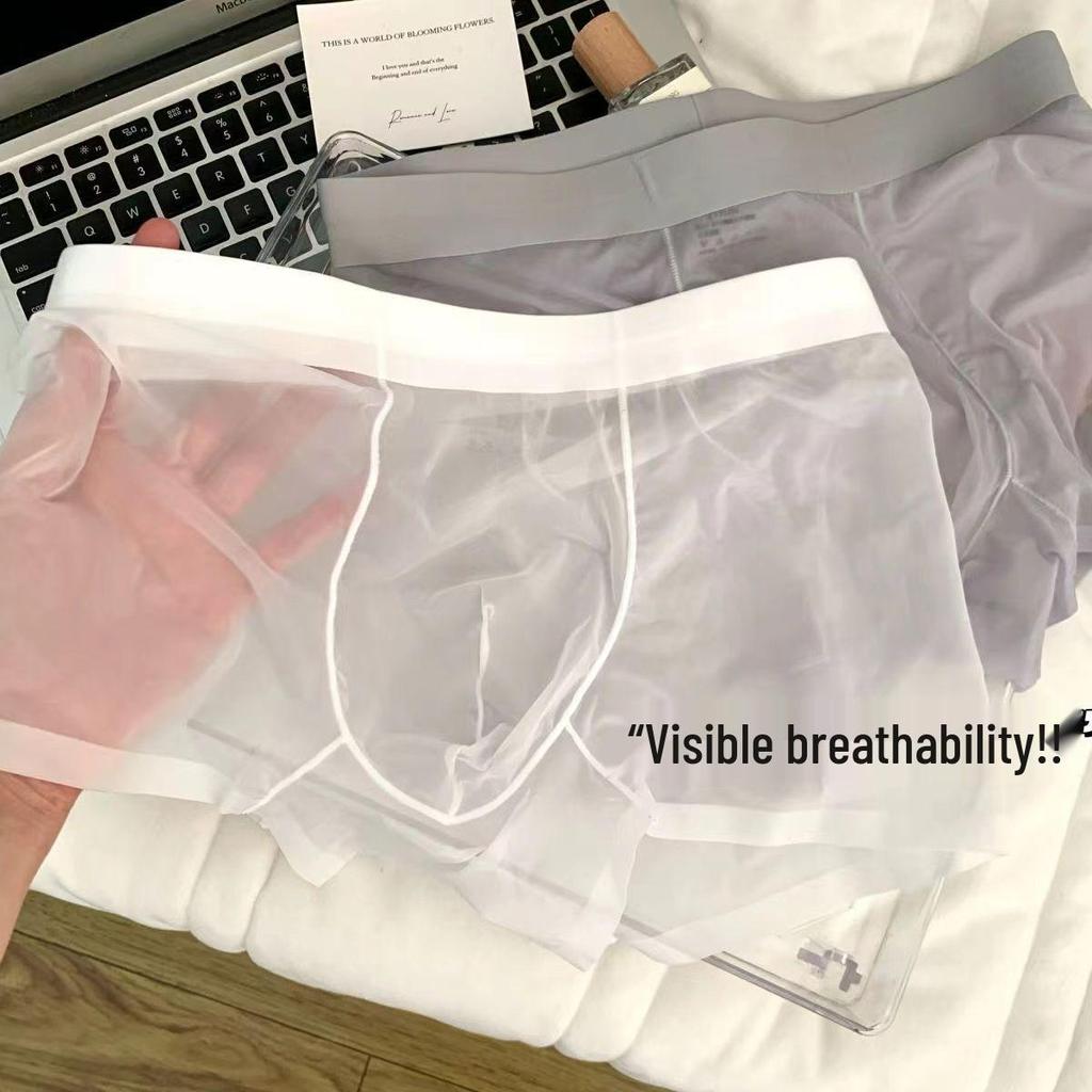 Мужские ультратонкие сетчатые боксеры-брифы из ледяного шелка - Дышащие, Прозрачные, Эротичный шелковистый четырехугольный дизайн