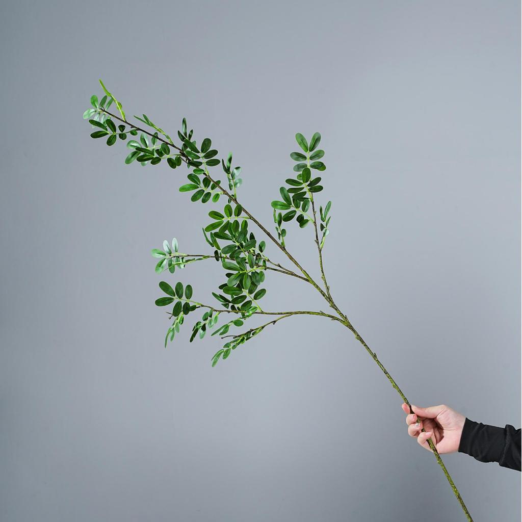 Large Acacia Branch Leaf Decorations for Indoor, Wedding, and Hotel Arrangements