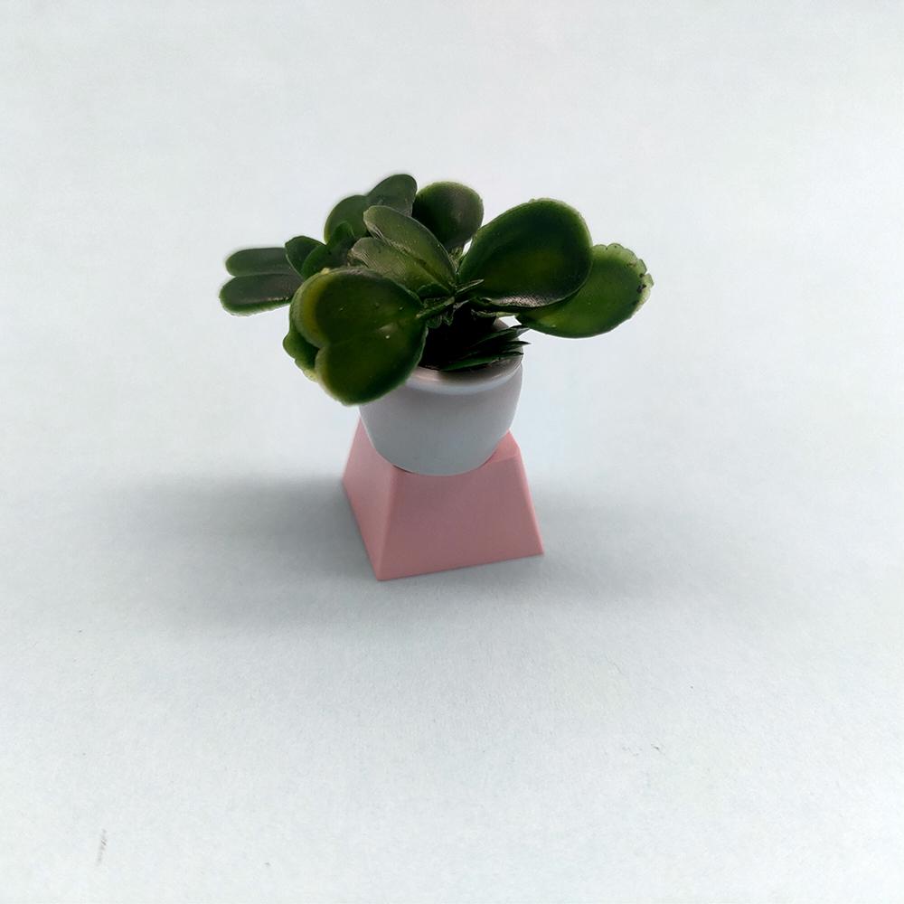 Клавиши Профиль Cherry PBT Клавиша Аниме Kawaii DIY Механическая Клавиатура Колпачки Игровые Декоративные Аксессуары Милая Клавиша